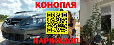 прущие грибы Нарткала