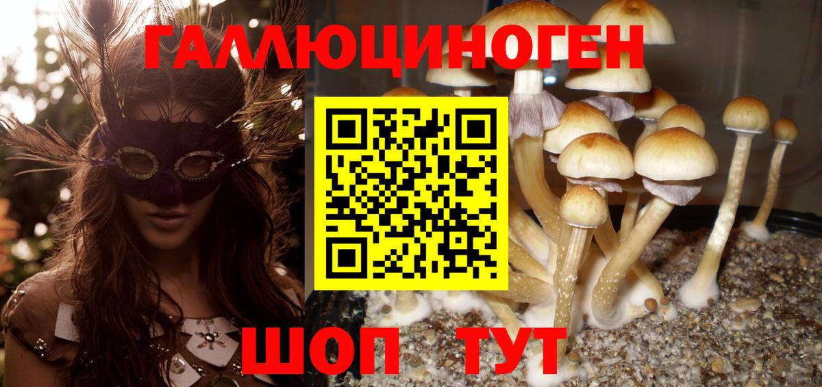 Славгород  ГАШИШ  Меф МЯУ МЯУ   Вход с VPN  Мефедрон  Канабис  Вейп ТГК 