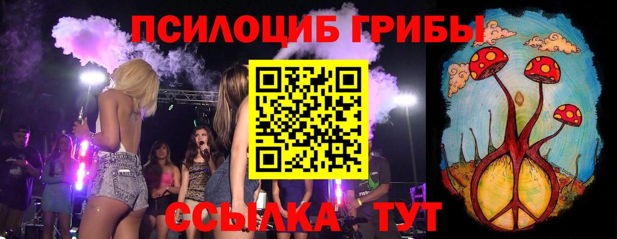 Галлюциногенные грибы мухоморы  Галлюциногенные грибы Magic Shrooms  Славгород  что такое наркотик  Вход с VPN 