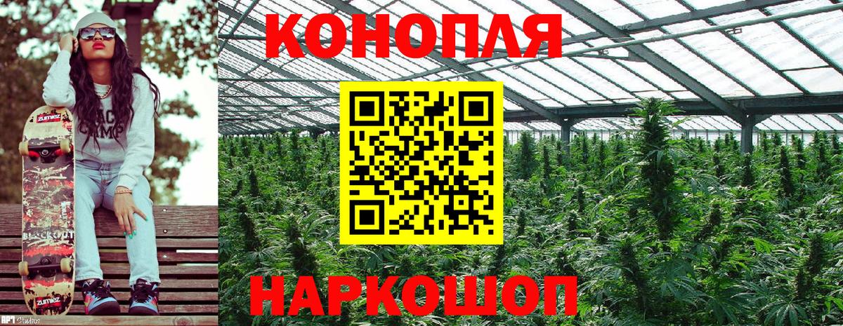 Шишки марихуана White Widow  Вход с VPN  Каннабис конопля  Славгород  Марихуана Bruce Banner  Конопля ГИДРОПОН 